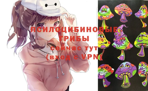 соль ск Богородицк