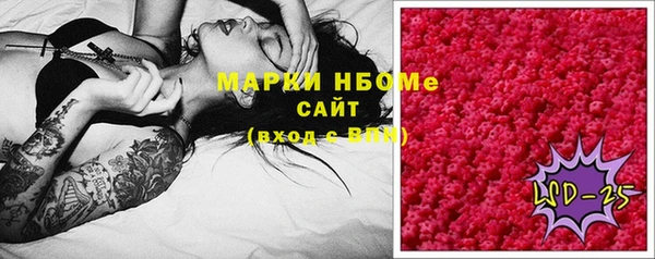 соль ск Богородицк