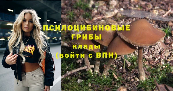 MDMA Богданович