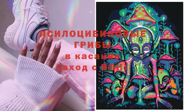 соль ск Богородицк